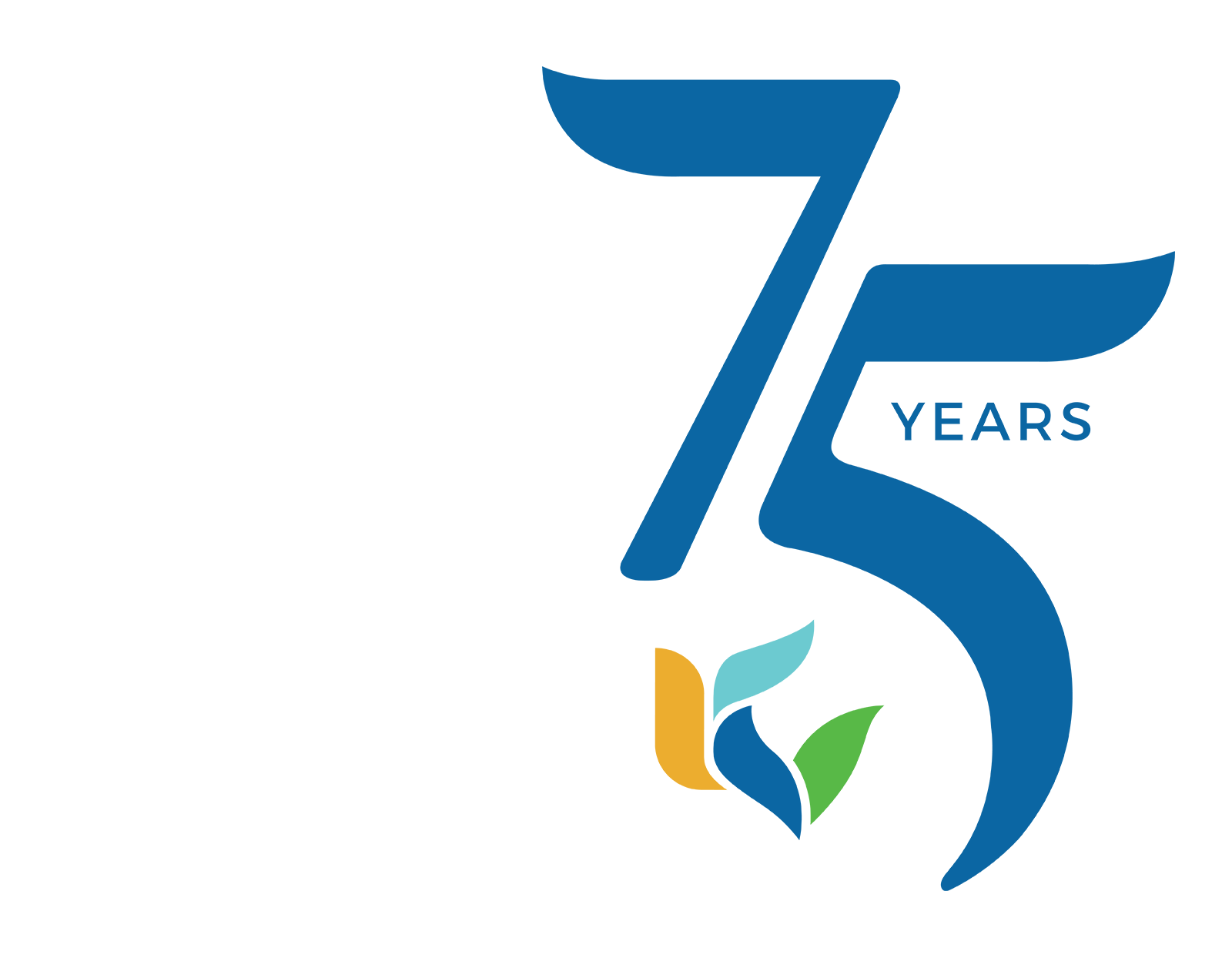 KV-75th-Anniversary-Home-Icon